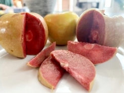 Яблоня красномясая Гренадин (apple Grenadine) 