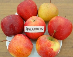 Яблоня Фуджико