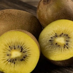 Киви Голд Kiwi Gold