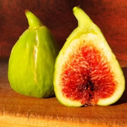 Инжир Смоковница (Fig tree)