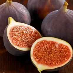 Инжир Руж де Бордо (Rouge de Bordeaux)