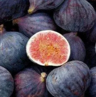 Инжир Руж де Бордо (Rouge de Bordeaux)