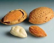 Миндаль Даймар (Daimar) Даимар
